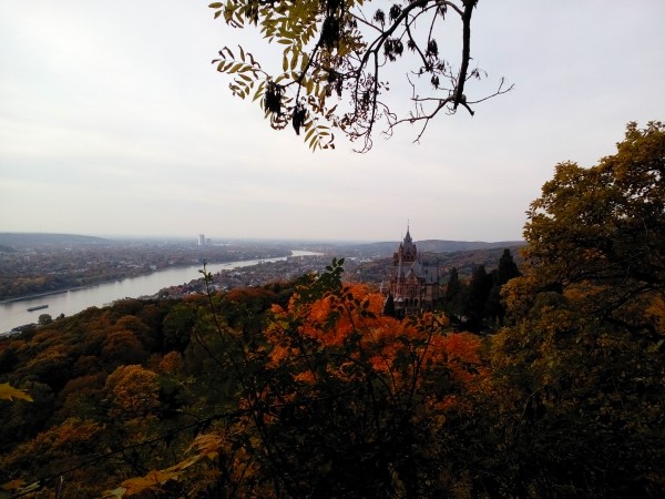 Day trip "Siebengebirge"